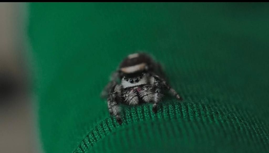 @Vienna Museum of Science and Technology